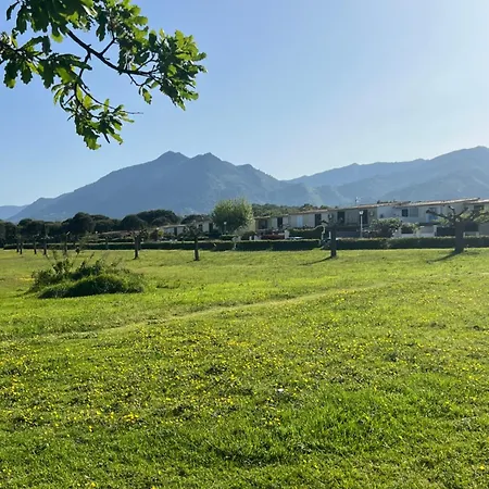 Tatil Evi Pavilllon En Corse Chez Michel *